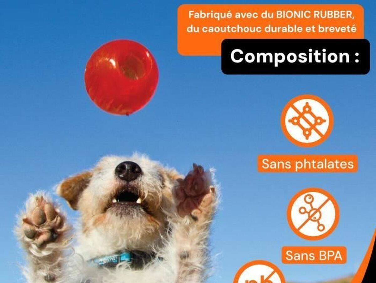 V5H59E28A4336A0E0208598EBF85E35B495R7343116P4