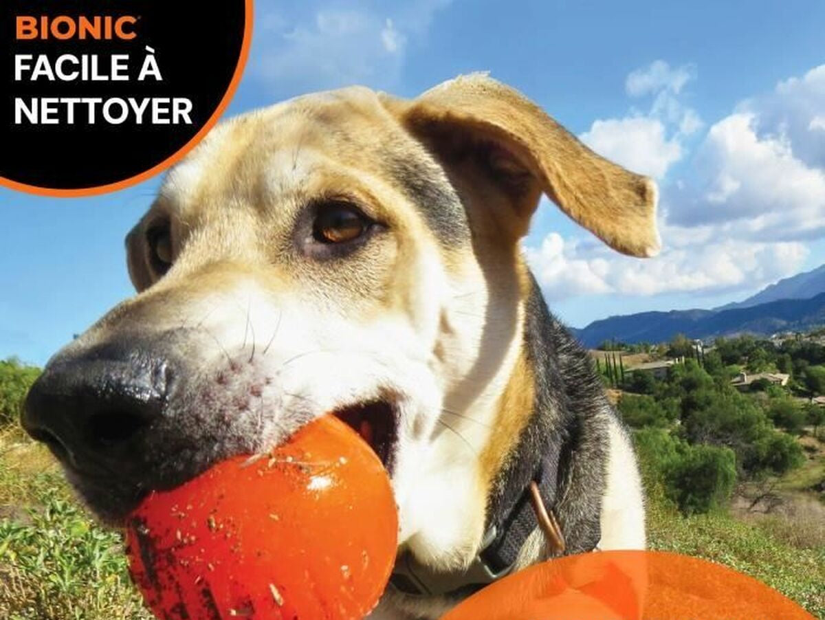 V5H1746AEEE34BD27A58FD3F0A3597229E8R7343117P5