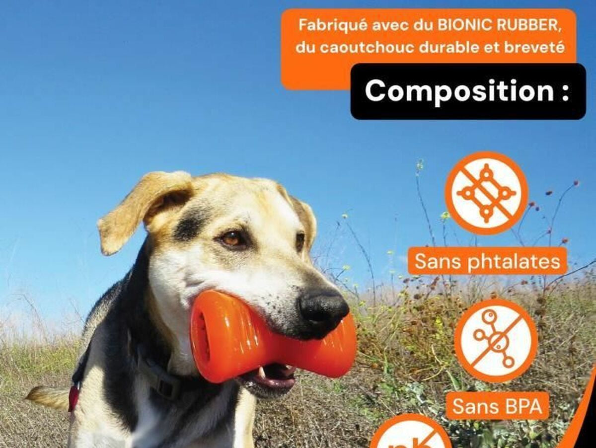 V4HABD8B4471A8EA046D163B21403C9DE23R6702088P3