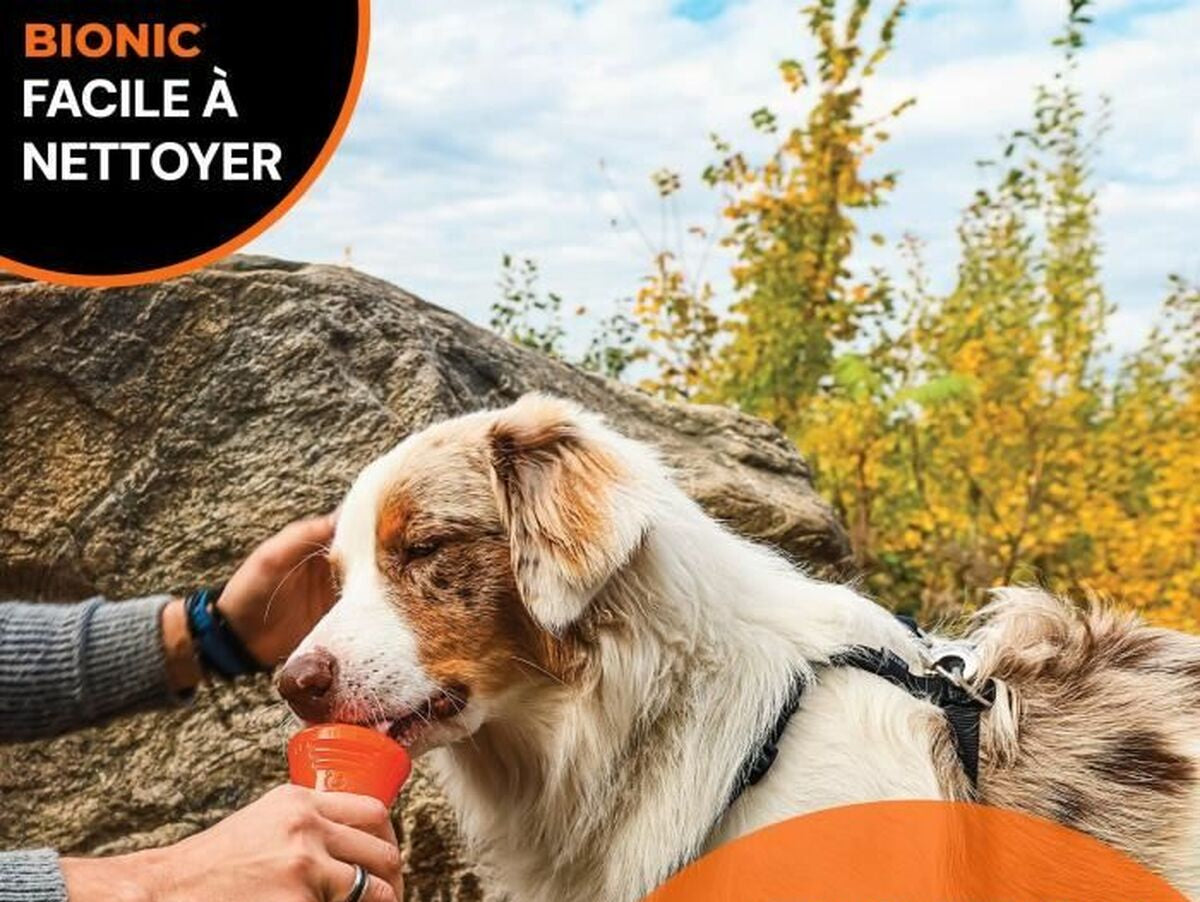 V4HA1D7C9BF0C6945F01A665AF636787346R6702090P4