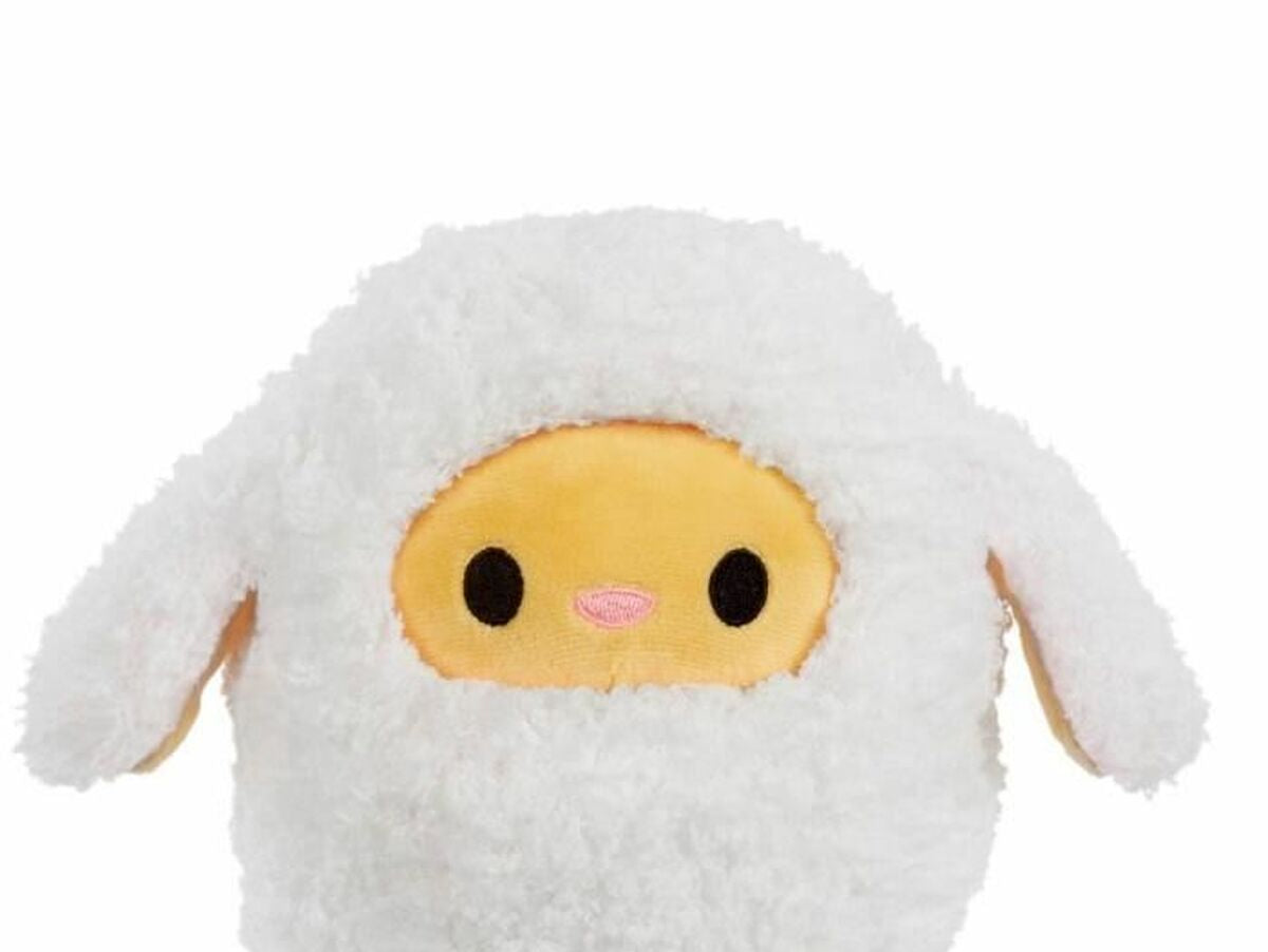 V6H787B56F09E44EAA5D2C6FBCB75931B94R5074435P3