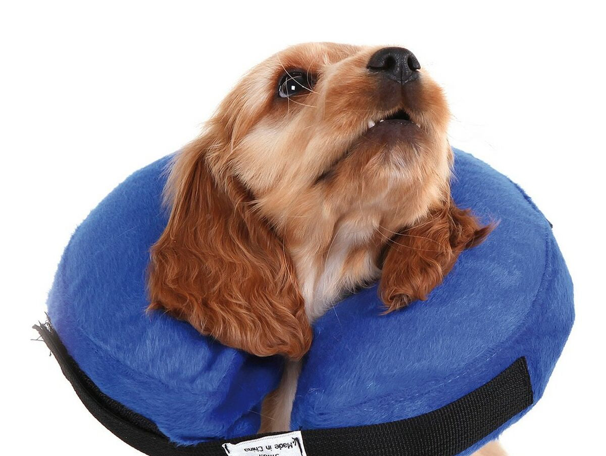 V12H48F9D630CC1659C14CB3D3970FC42394R4073043P1