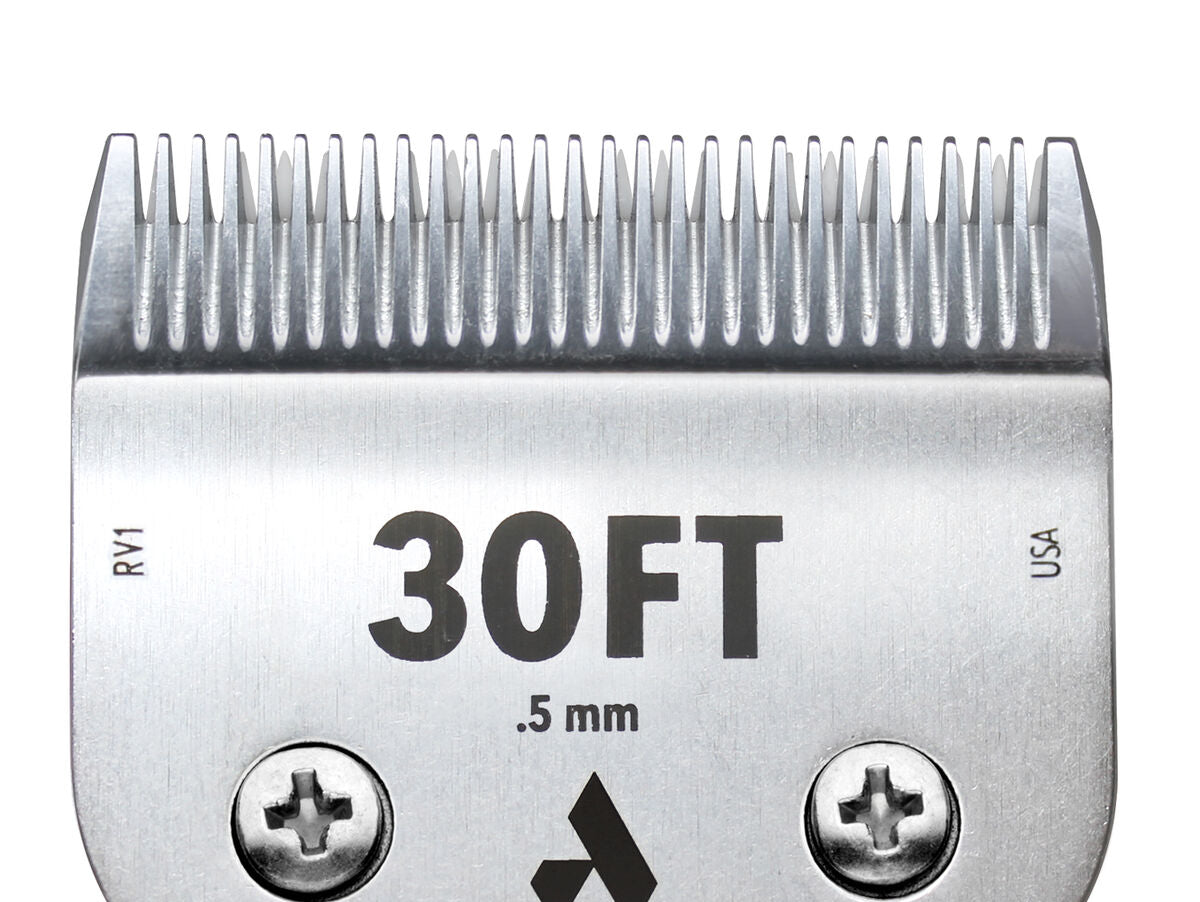 V5HE54C4503093C6B48530ABDB6772D6E8CR5554763P1