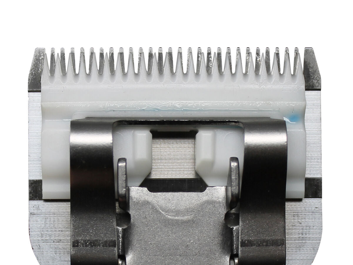 V5H06B97E581E51EF9FD9D4B58C7A265A01R5554766P4