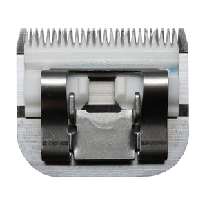 V5H06B97E581E51EF9FD9D4B58C7A265A01R5554766P4