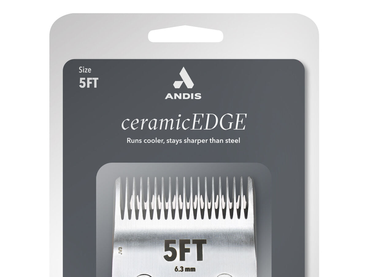 V5H15FFBCF541C56571DBEC711E719A12A4R5554751P3