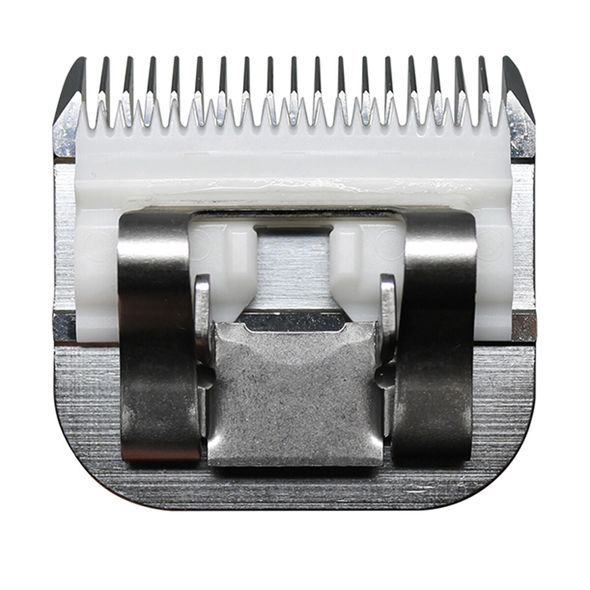 V3H4D7B9585DA488842E331481F72E3F631R5554754P4