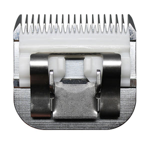 V3H4D7B9585DA488842E331481F72E3F631R5554754P4