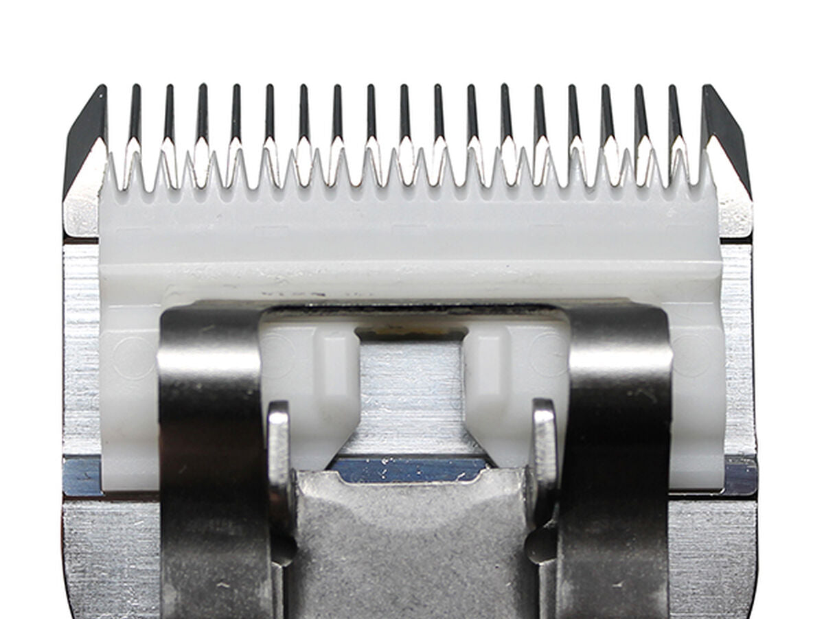 V5H985E39FD4A925E3F70EFCE20C04FC399R5554761P4