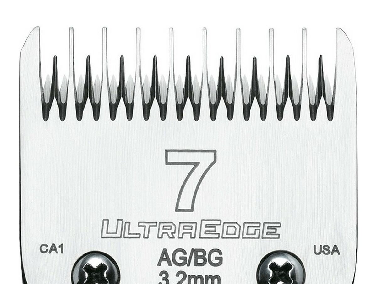 V10H752CFCE2947A69E2E0A6CE8349B895EAR5461051P1