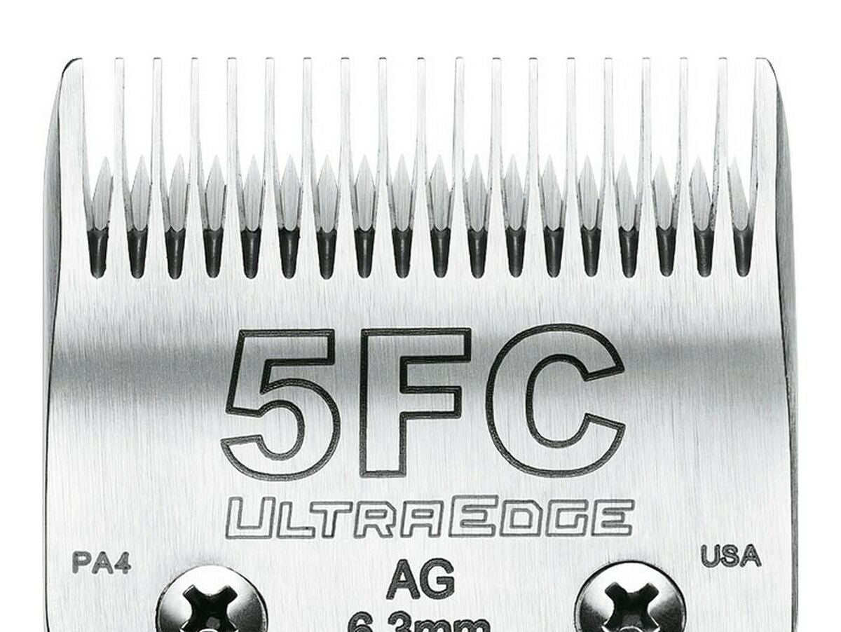 V11H0C3A045E1BC47FE5CAA69AEA5FBD2E7BR3725530P1