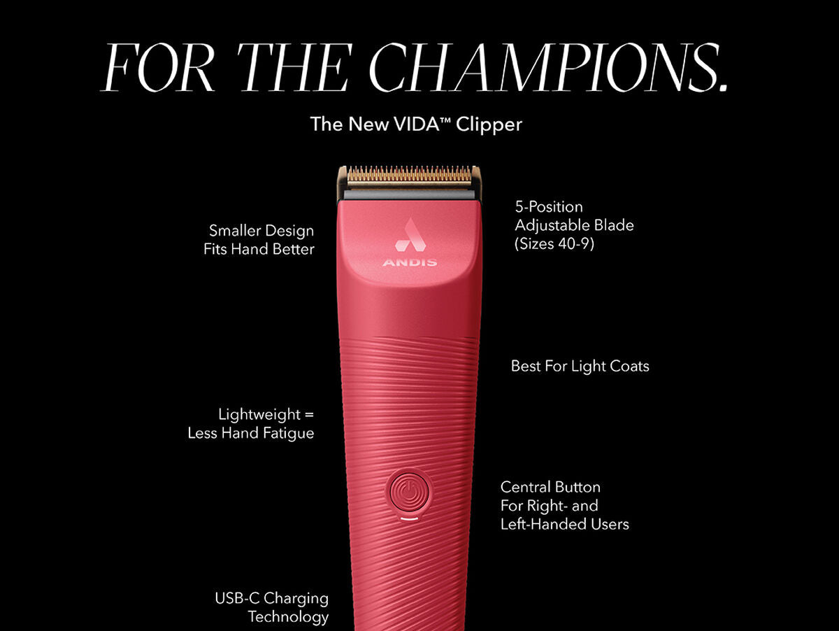 V6H0887A31AA026F04E0FF693F56577CB8AR4975284P8