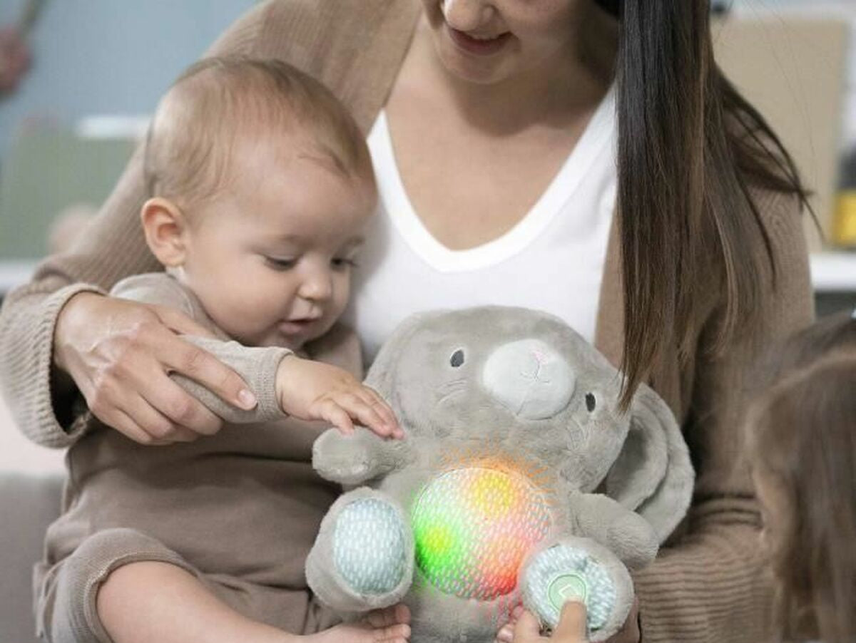 V6HE34831EC6F218EFCBD641A8767220CB3R6468825P4