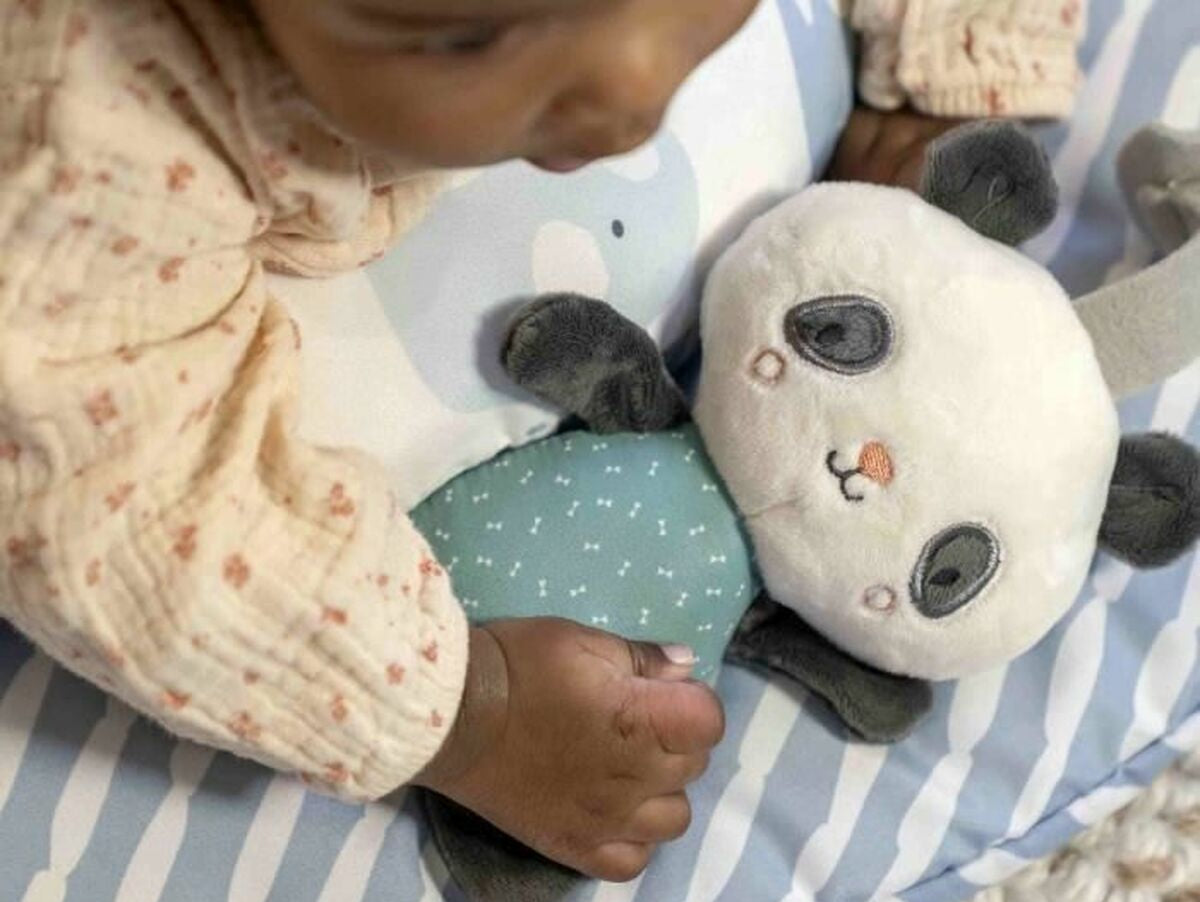 V5H440E110335F0ABFB8DE5E7F085E47329R6104151P2