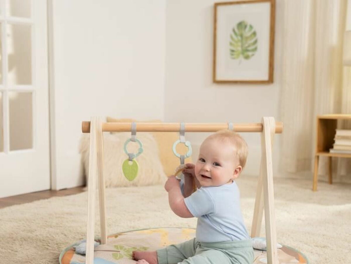 V5HC7F7DC5A247A2C2D480C4AF6A2D2259CR6658378P10