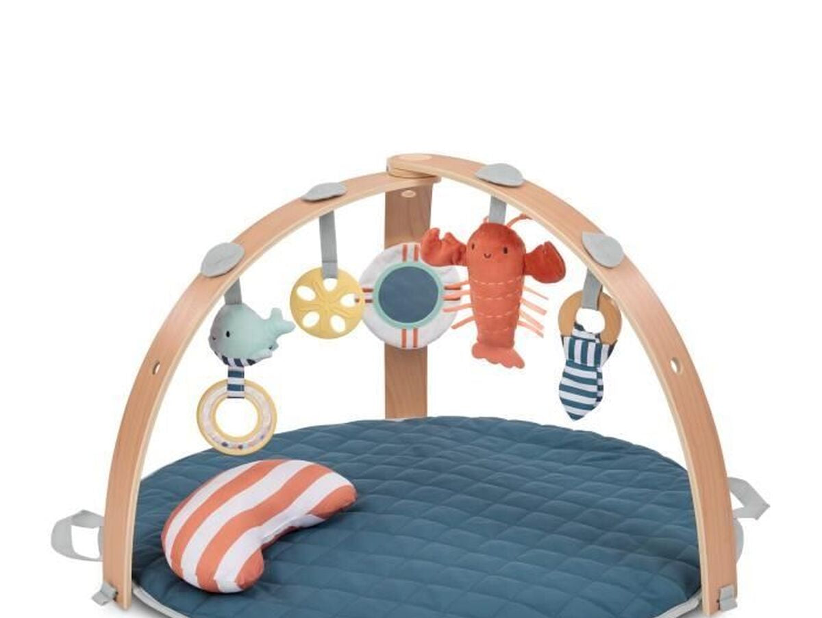 V2H6573D7E9D78F3EB13206C40662024D97R7437891P1