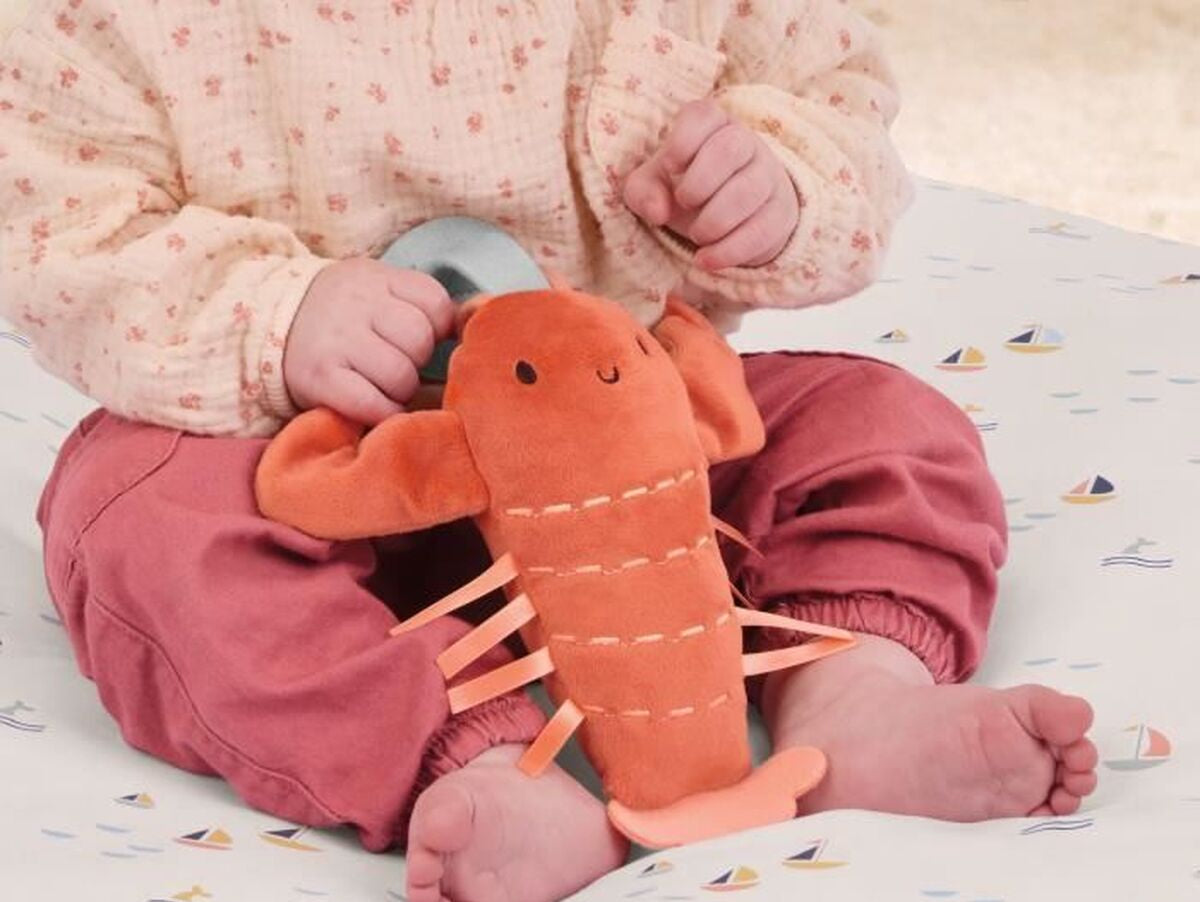 V2H6E449A5513D4761A13E29F628415A449R7437895P3