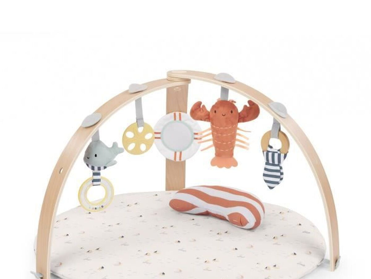 V2H6EE262EA567ACCE6D5ADED6C5AF4A21FR7437898P6