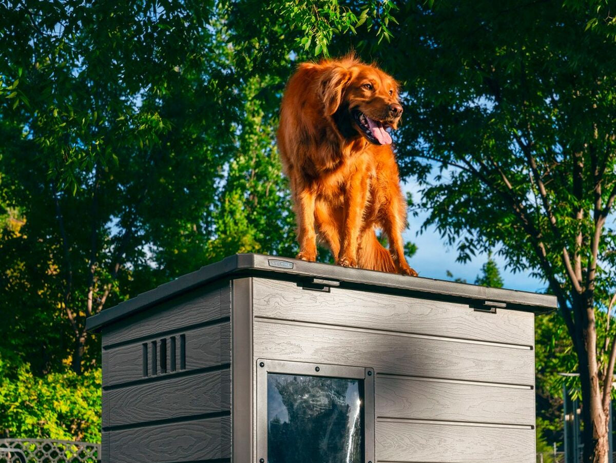 V9HC9F737A66EF096A09FEAAFBF1B595A1DR5420861P6