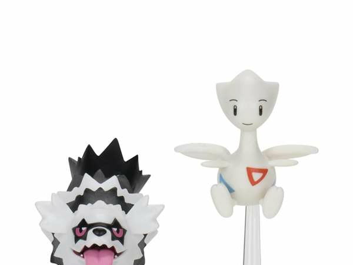 V5H3D12109038E0D8C8C0921FF21278960AR6355127P8