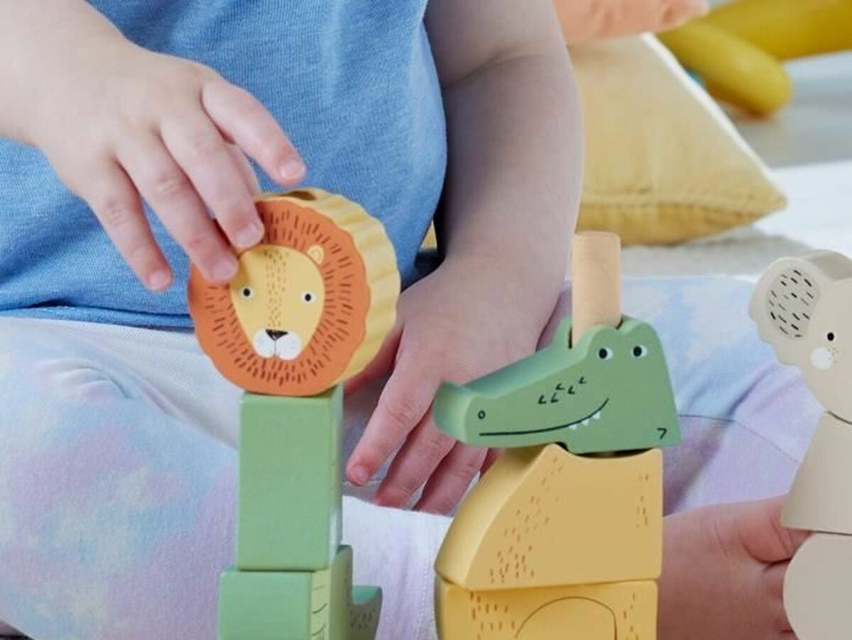 V6H1108478E41589D88DE512311441C9B9ER5293870P5