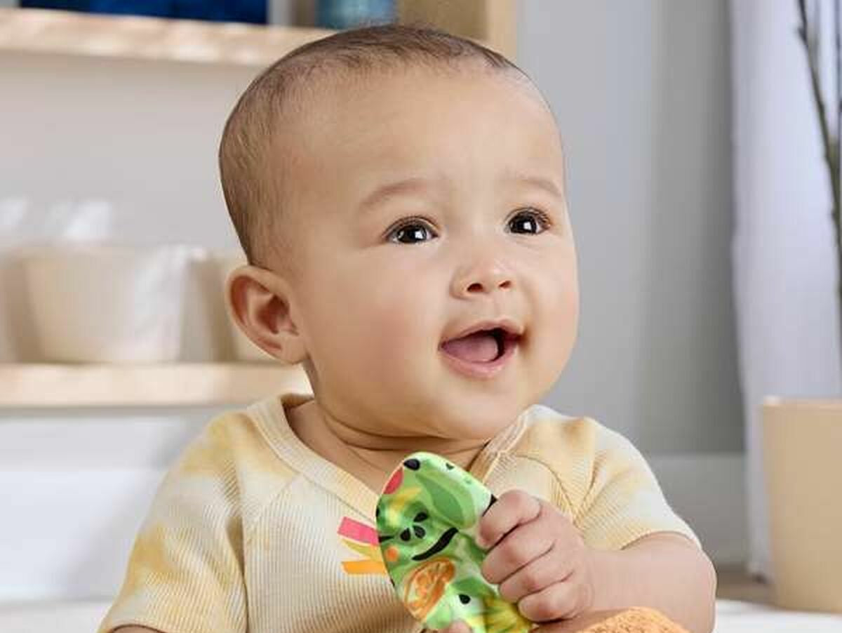 V5HFB3B693FA06E954B60211550EAF33AA7R6641986P2