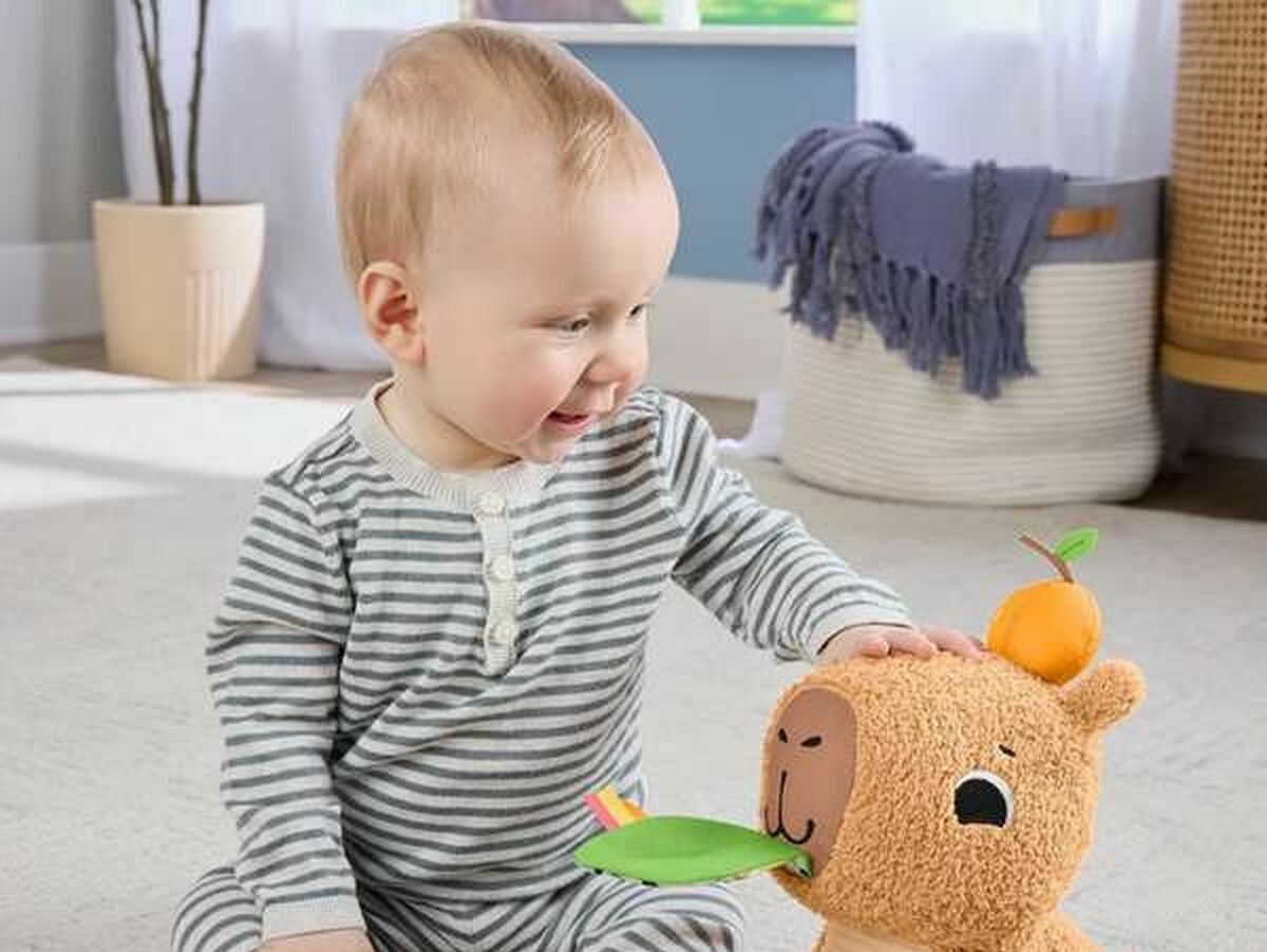 V10H2BC021421CA8BCC2EF063CBD0EDF9319R6639748P3