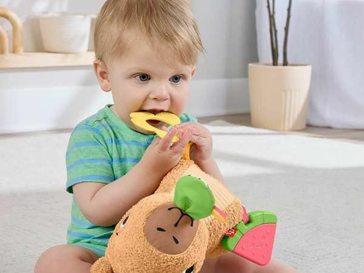 V10H1CEF6ADB205039FB33FE737F6F4E3F6AR6639754P5