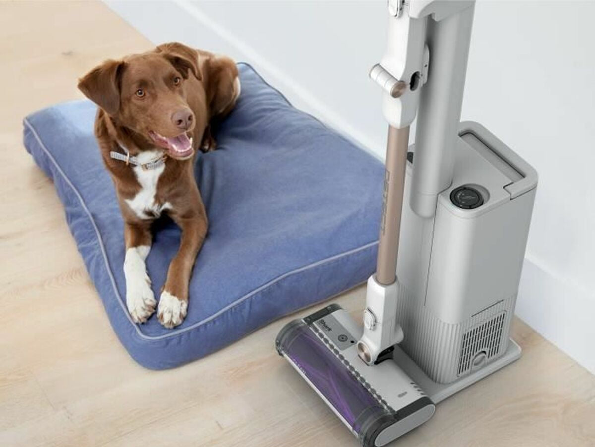 V5H8FF04D4C02196CC73DEFD7BBF73E3B67R5556345P5