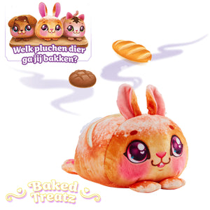 V4H77B17200433D413881909CFBDF43F82AR7415023P5