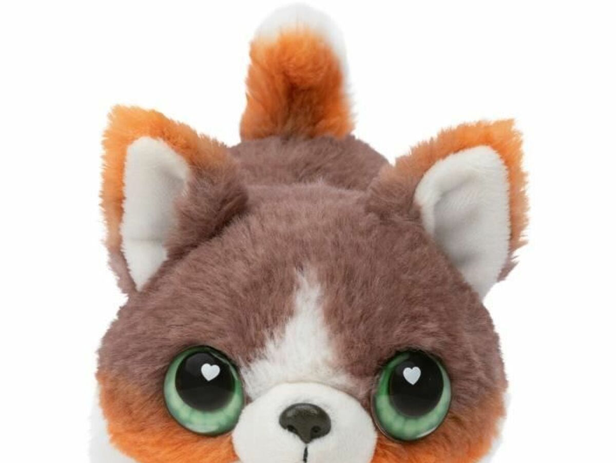 V7H0358C6CE14DB9CE5BF1DD4C09B1C558DR6573058P2