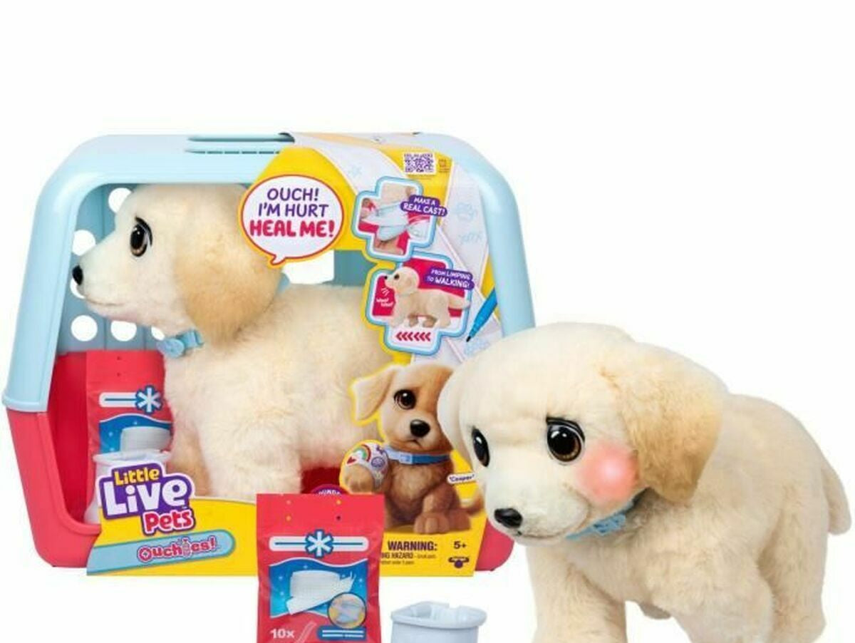 V2HA232AE8B18FF0FA5B164EA8193054714R6637048P4