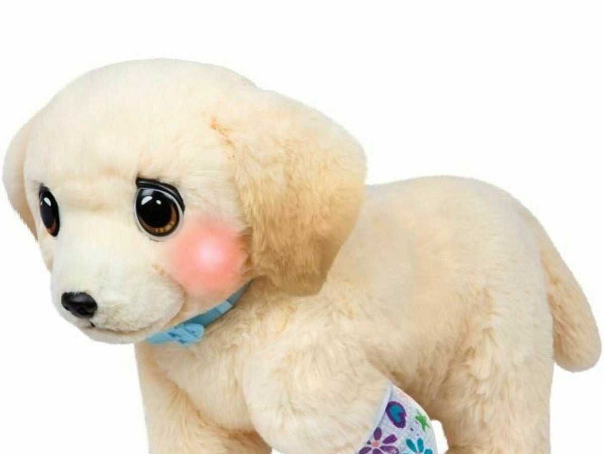 V2HCFCAA659EA1A5A42C5C365E2877D1463R6637052P5