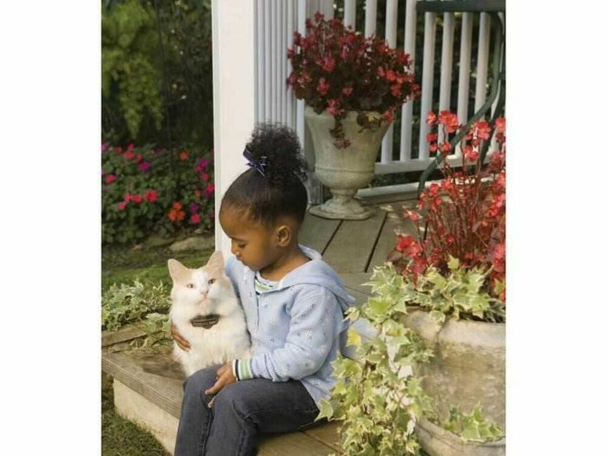 V7H3CCCF8E2A7A4ACB025DA6C57D146EB12R6206344P3