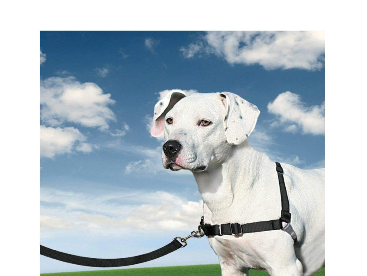 V13H91EBBB989BE446B508C62F7941BE78CCR6609344P3