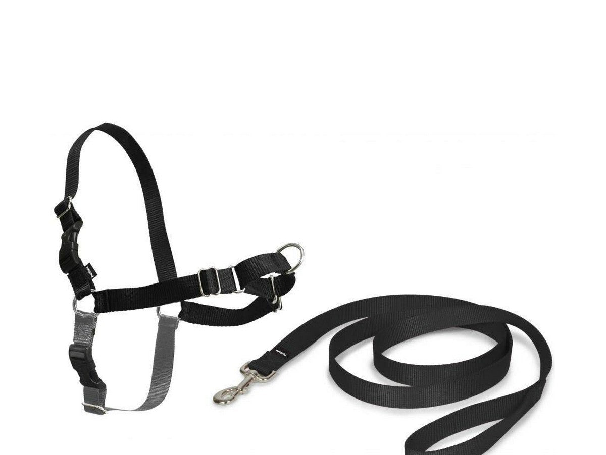 V13H8FBE37D6FEB2EA2090870E11F675417CR6609342P1