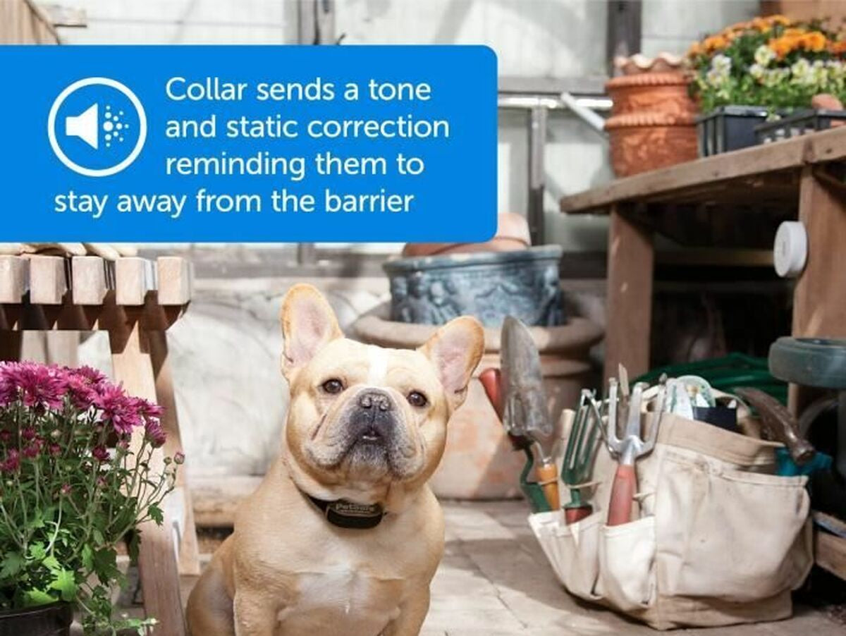 V6HFB1E02B6CEAE0371B3C8388EEC894EB2R6834327P6