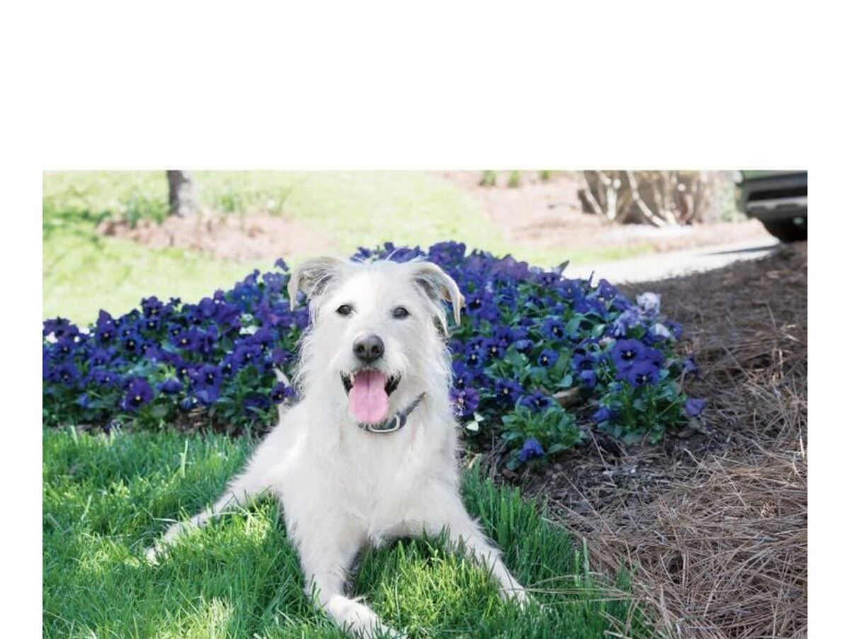 V5H1B3A2E9B8F081DEBB657B306EF0164EBR5763537P3