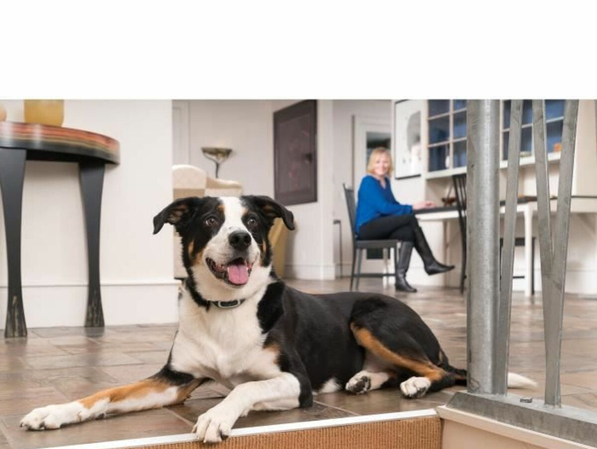 V5H1B45DA600F9855CDDB69F253289D67D2R5763555P2