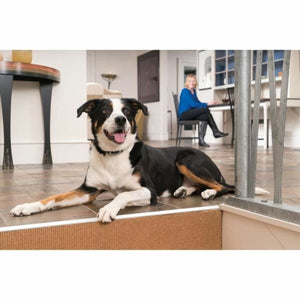 V3H1B45DA600F9855CDDB69F253289D67D2R5763555P2