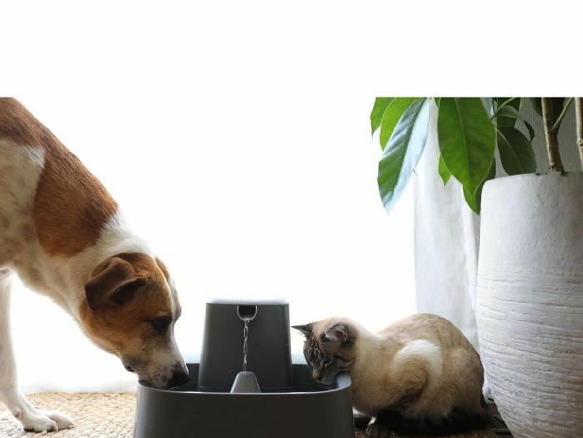 V8HE241B5D8D39851A2004922729AF4398CR6414557P3