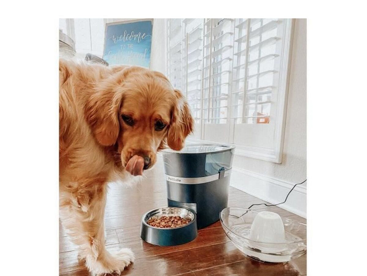 V9H35F96C92306D65F15D6BE0408C2FB707R6651308P4