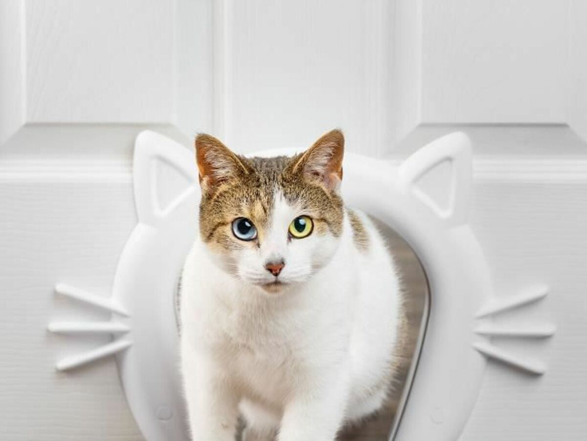 V4H6E68DE9A140140234AFFC9B608FBDCC1R5762693P2