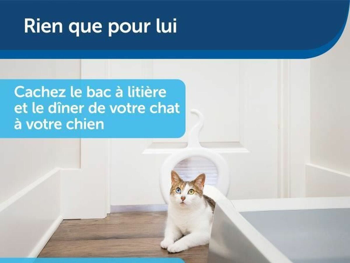 V4H3F81E2BD280591D49672ADE6DD088887R5762699P6