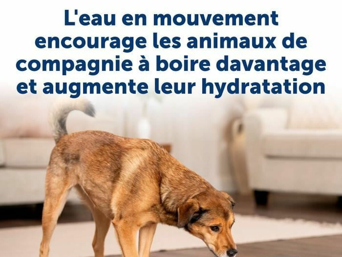 V7H6A3F8C9B1D363A4ADB47C51D0CAB4655R5288126P2