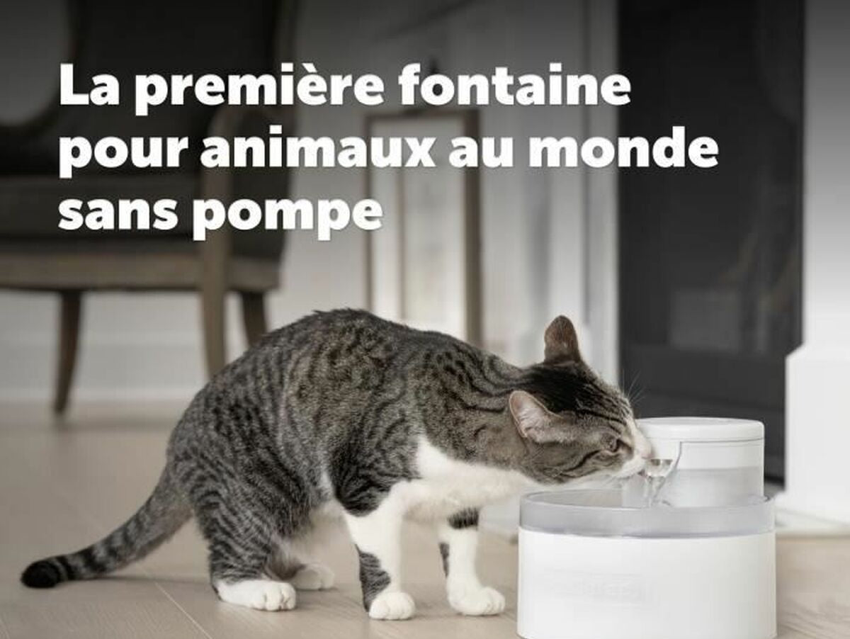 V6H7B8EEA04F1F1C6A02FA17664C71E677ER5288136P2