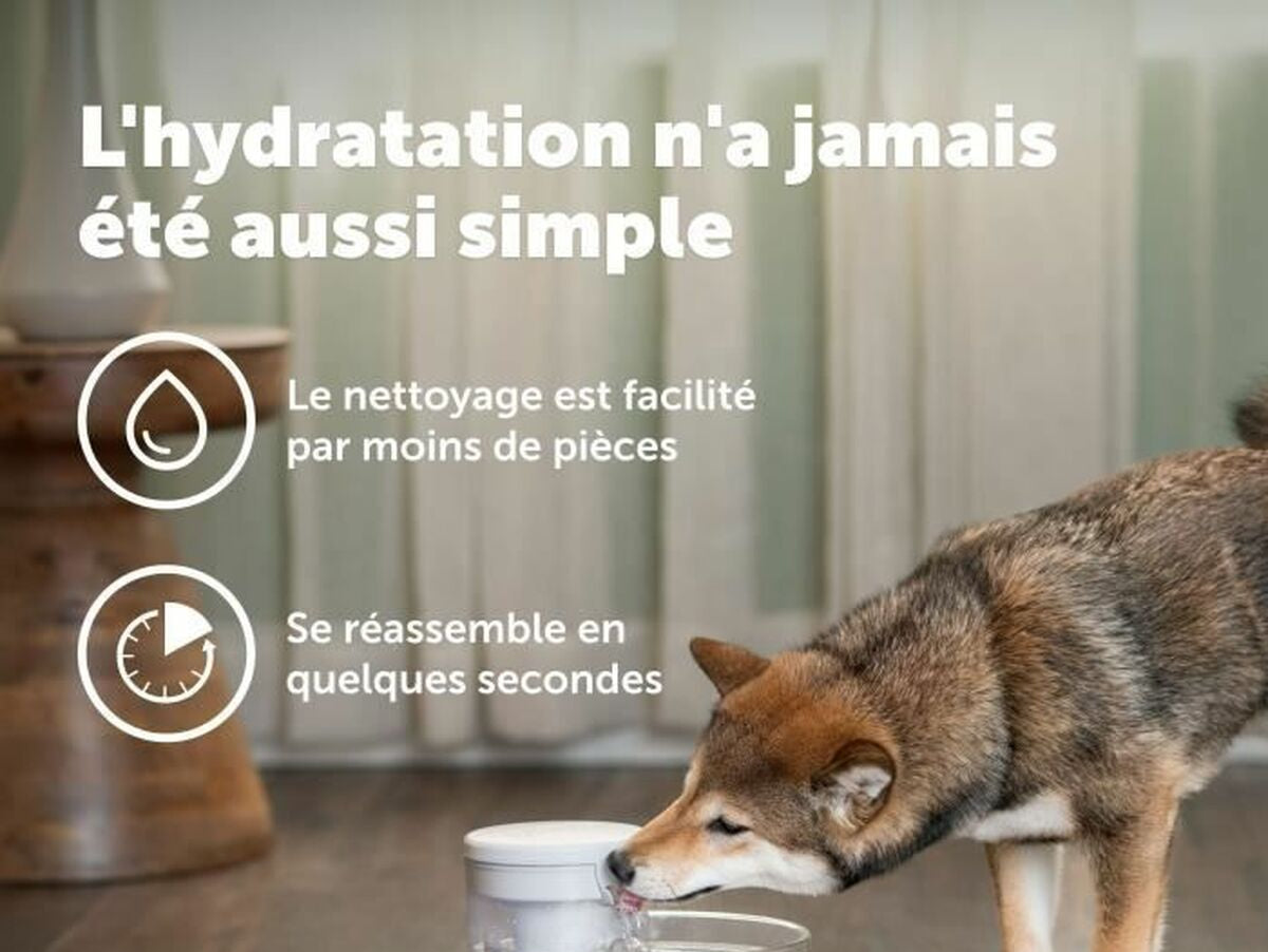 V6H14ED2962608917C1763DBFFDE7246042R5288141P6