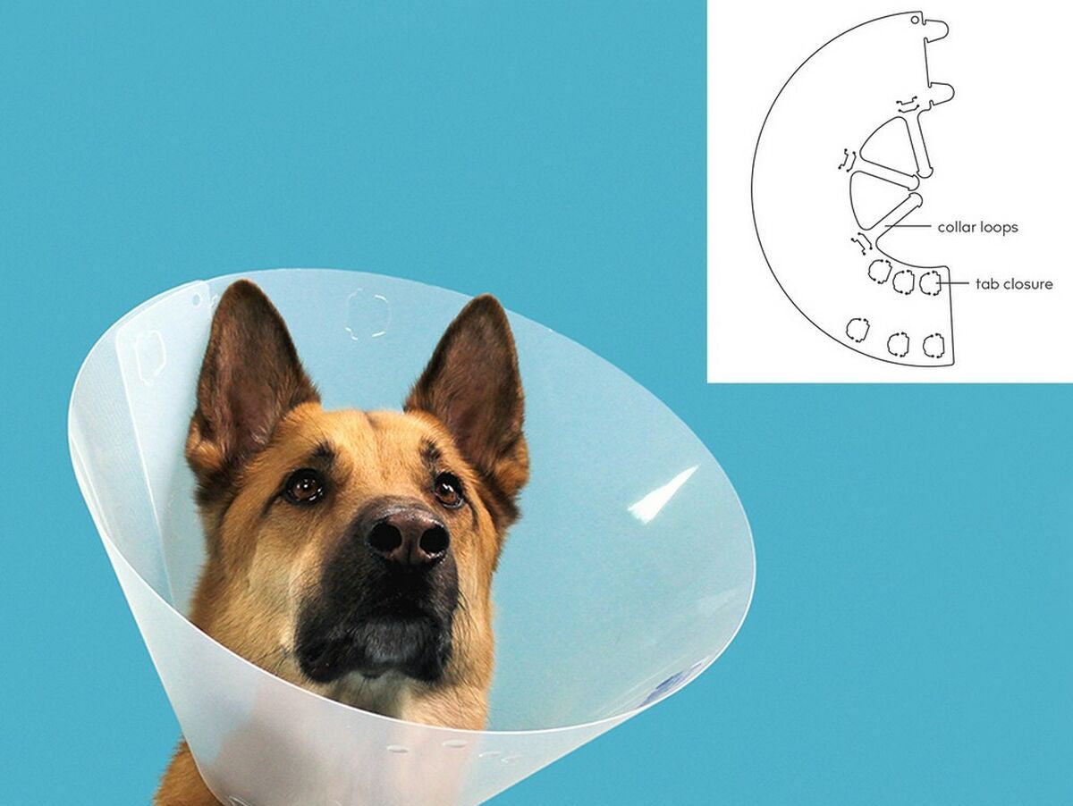 V12HD2C599473D1C4F0C5A048E3000FC5578R5461346P2