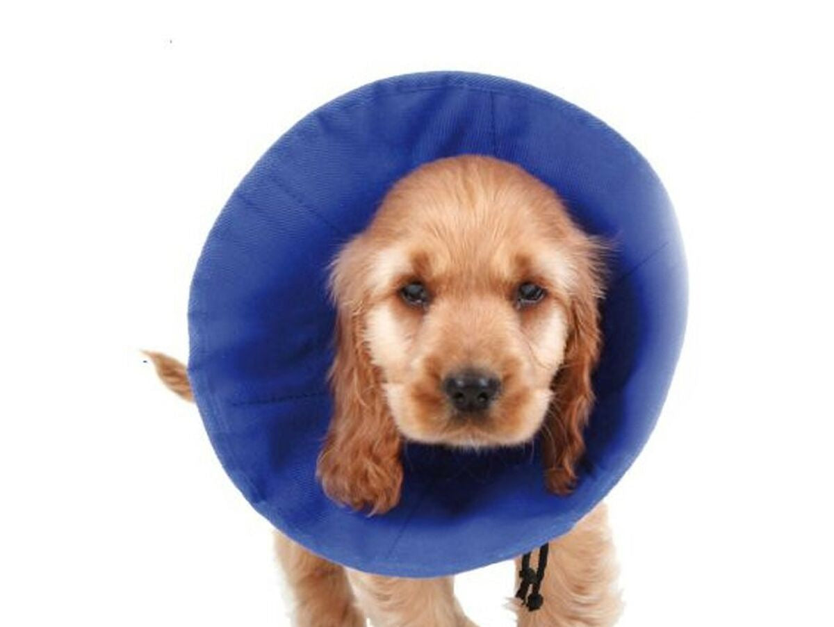 V11H85DF3A46C1A81EBAD3A4D77CCC4ACEF0R5358562P1