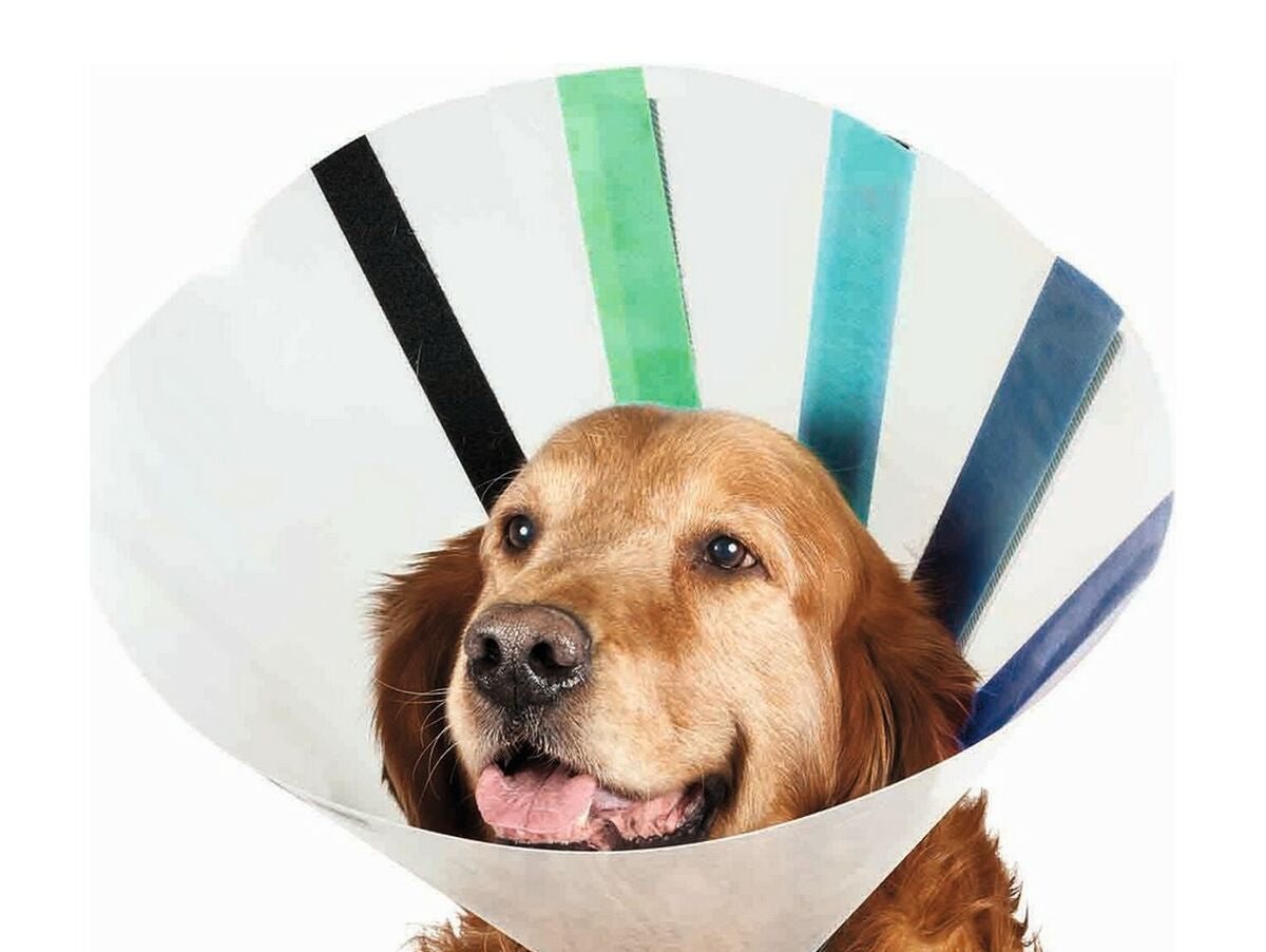 V11H972607FA9AB3DE5090C94E8303AFEE57R5136155P1